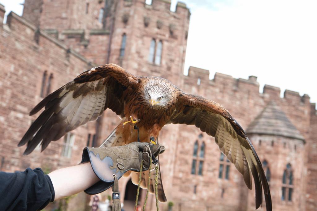 Peckforton Castle Tarporley Esterno foto